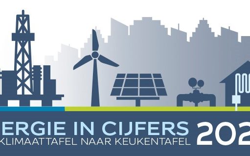 Logo van infographic 2020