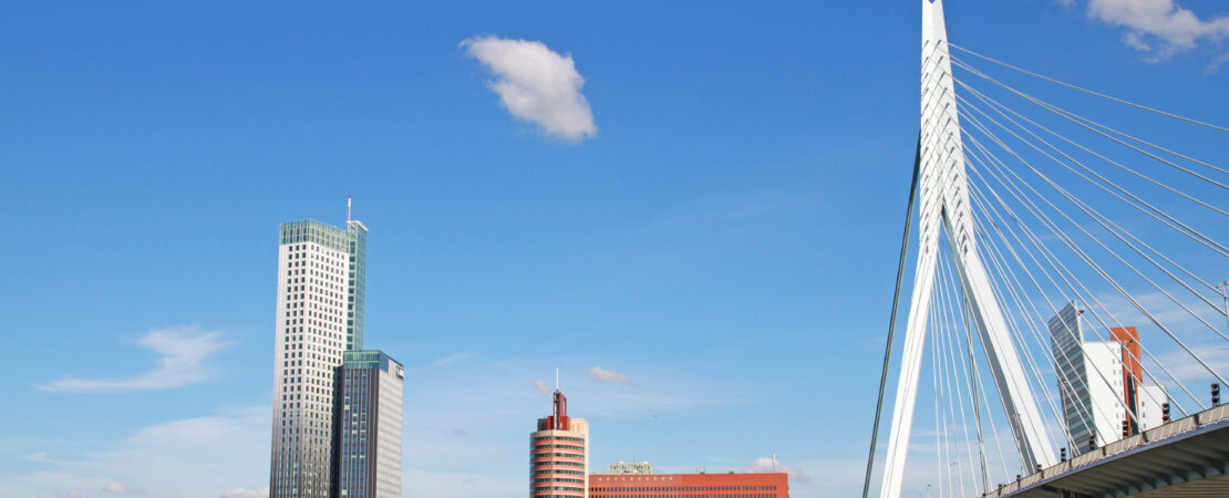 Afbeelding Erasmus brug Rotterdam