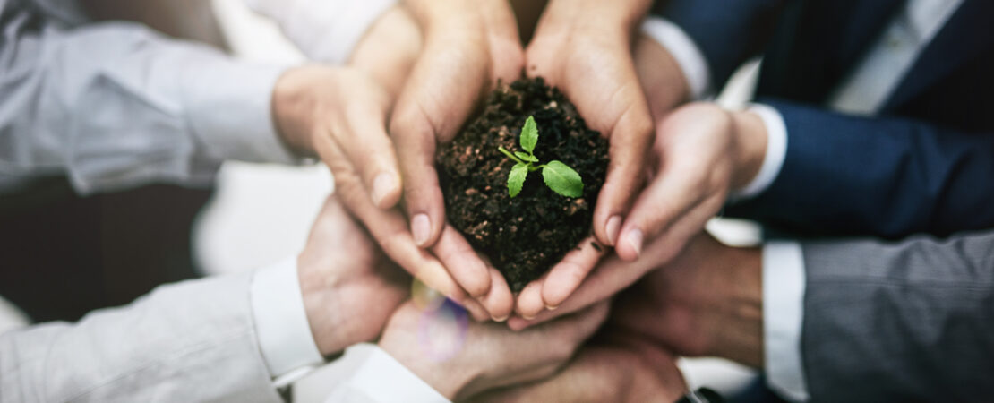 Afbeelding van 10 handen die samen aarde vasthouden waaruit een plantje groeit