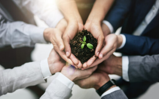 Afbeelding van 10 handen die samen aarde vasthouden waaruit een plantje groeit