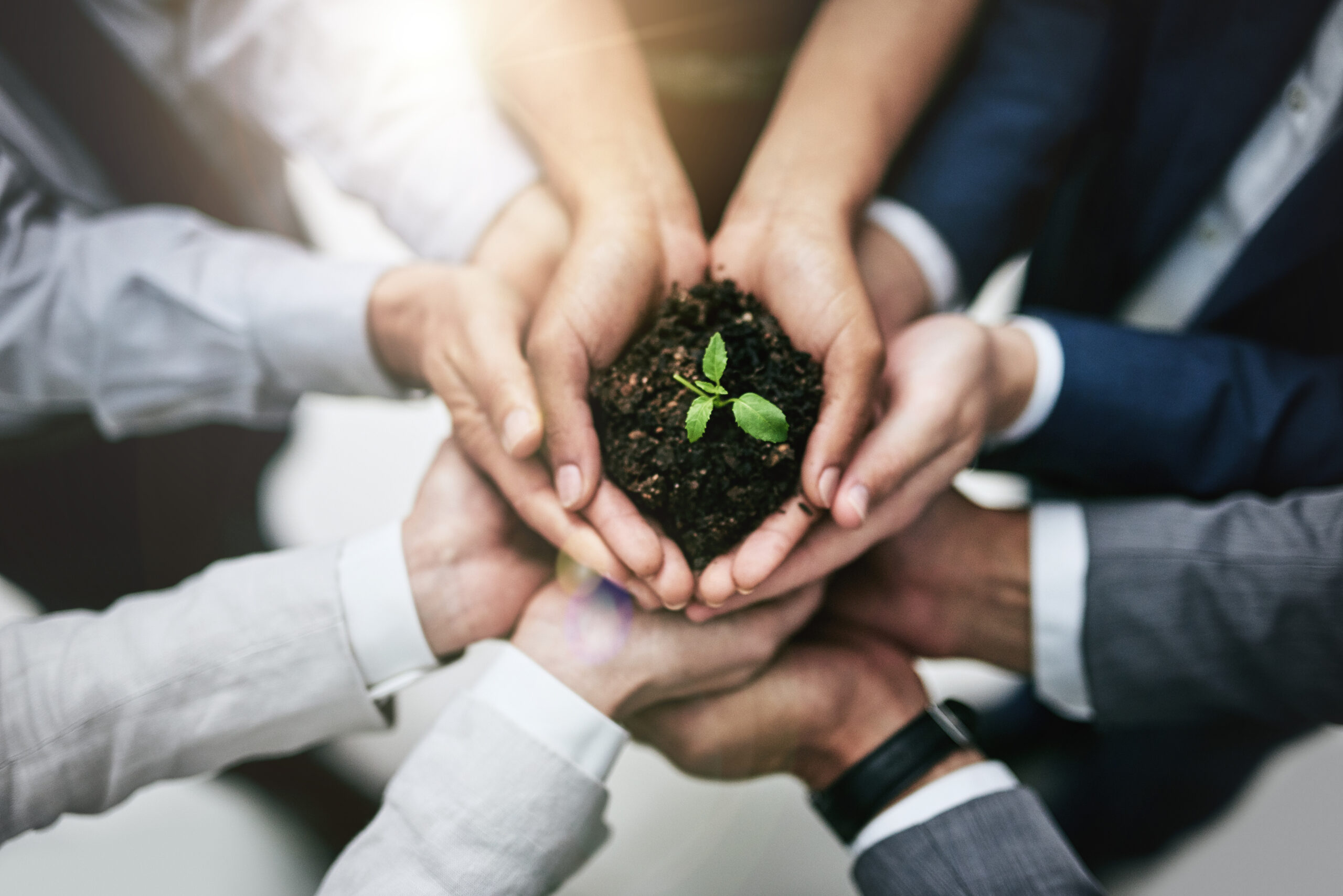 Afbeelding van 10 handen die samen aarde vasthouden waaruit een plantje groeit