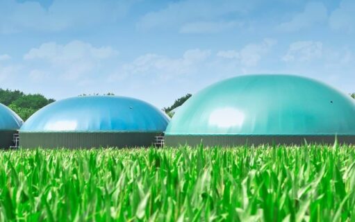 Afbeelding toont bollen in een veld gevuld met groen gas