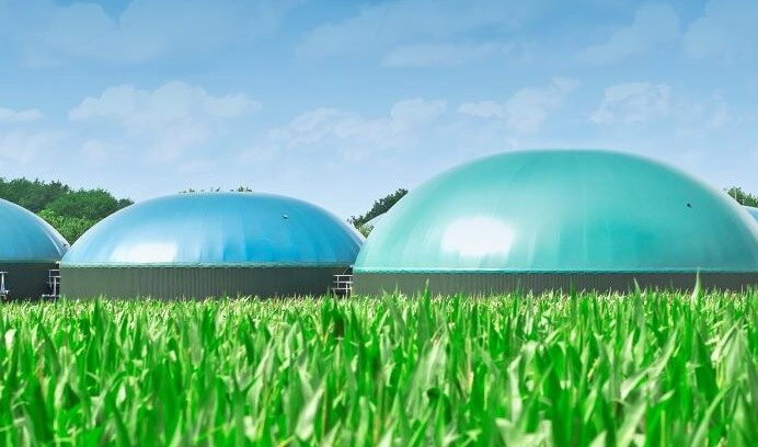 Afbeelding toont bollen in een veld gevuld met groen gas