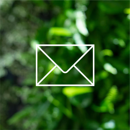 Icoon van een envelop met groene achtergrond